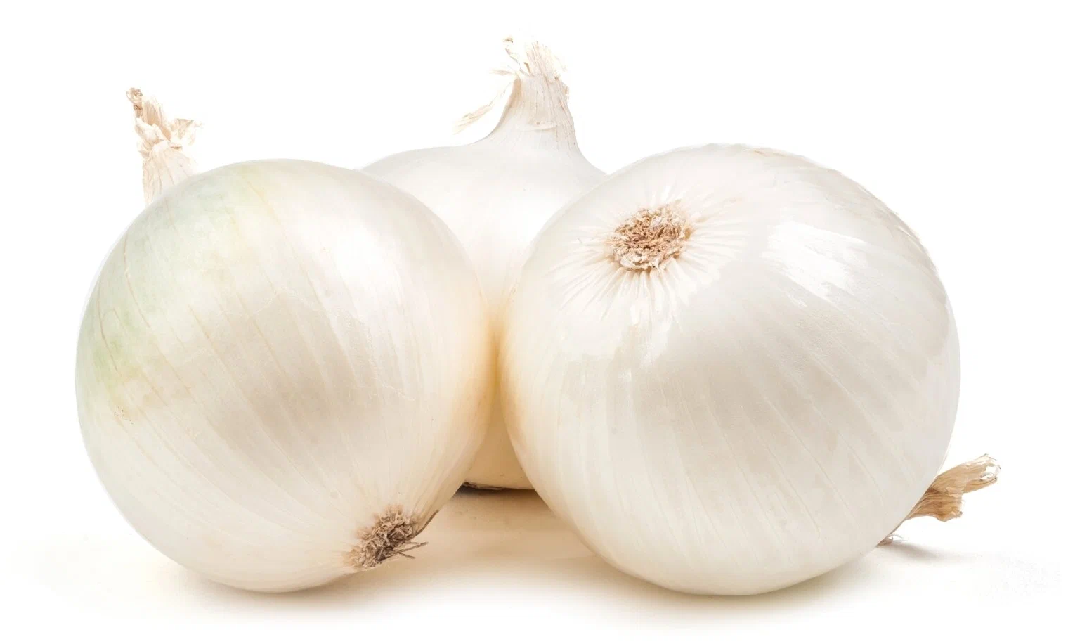 فروش پیاز سفید